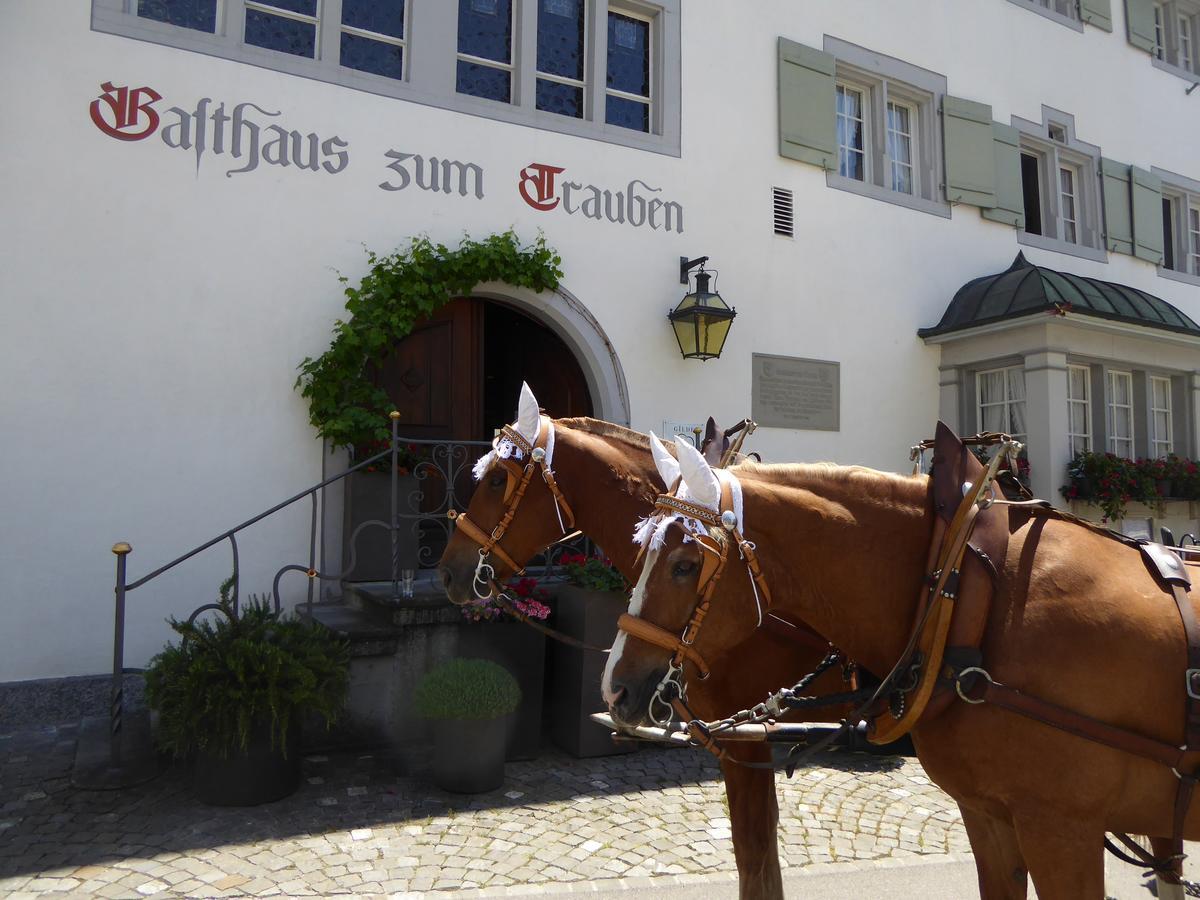 韦因费尔登 Gasthaus Zum Trauben酒店 外观 照片